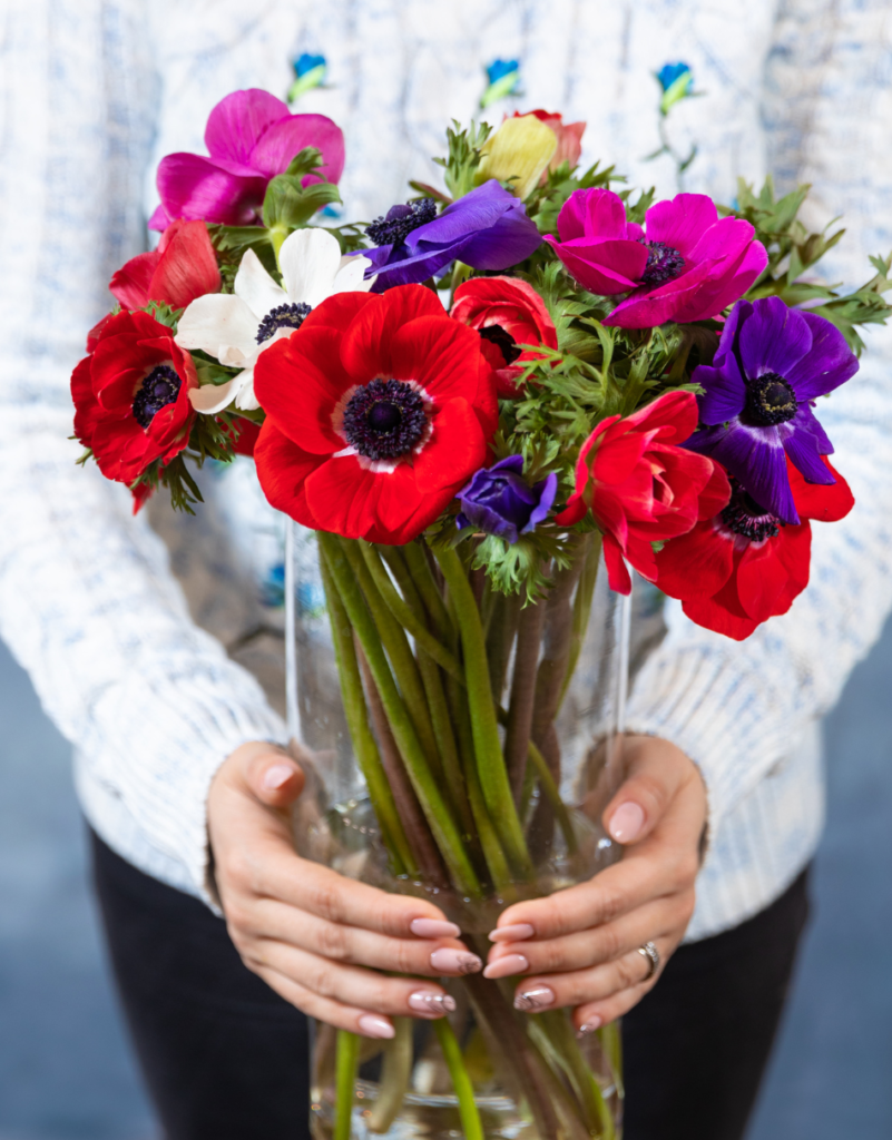 August Birth Flower - Poppies